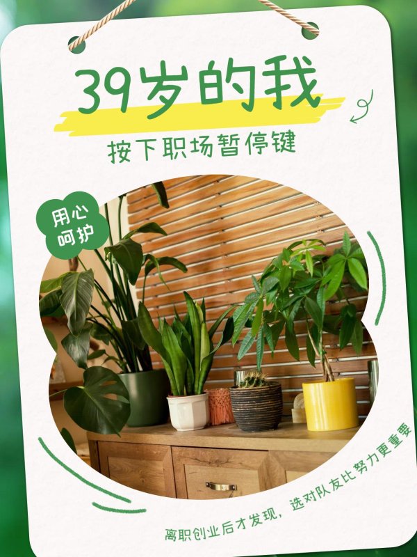 股票网炒股配资开户 离职创业后才发现，选对队友比努力更重要