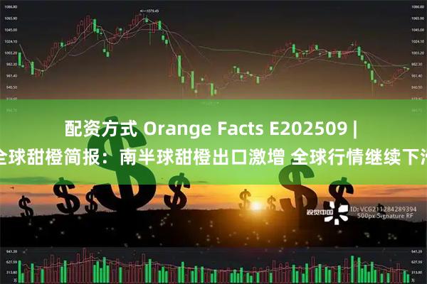 配资方式 Orange Facts E202509 | 全球甜橙简报：南半球甜橙出口激增 全球行情继续下滑